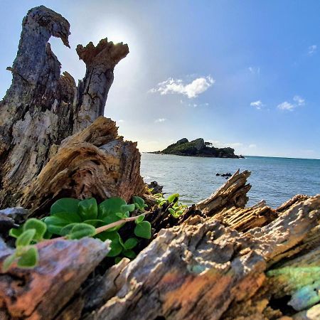 Goat Island Bungalow Ulverstone Dış mekan fotoğraf